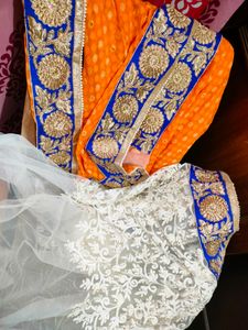 FANTASTIC CHIFFON AND NET SAREE