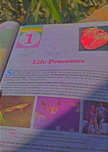 Class 10 Biology Book