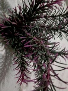 TABLE DECORATOR