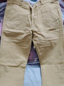 Beige Slim Fit Trousers
