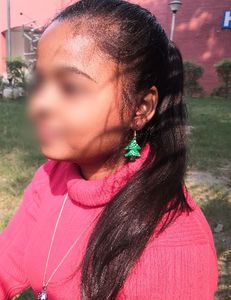 Christmas theme earings combo