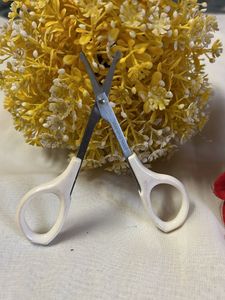 Stainless Steel Eyebrow Scissors