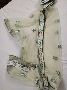 Light Green Lehenga With Beautiful Embroidery
