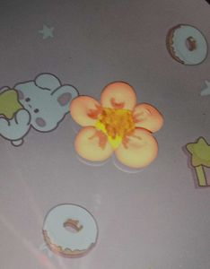 A Cute Flower 🌺