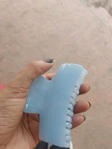 Pastel Claw Clip Set