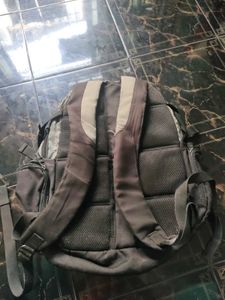 Price Drop ✨Grey printed backpack