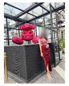Elegant Maroon Velvet Dress