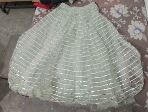 Embroidered Lehenga Choli