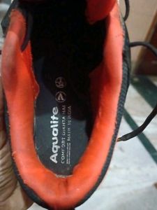 Sporty Sneakers