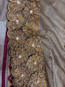 Elegant Embellished Saree