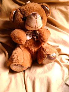 Teddy Bear