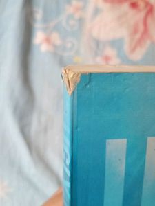 Ugly Love Novel Written By Collen Hoover