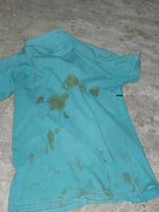 Boys 4K Collection Teal Polo Shirt
