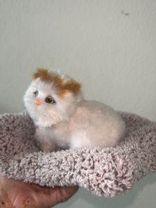Cat Toy With Voice