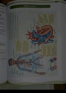 NCERT Punch Books Neet