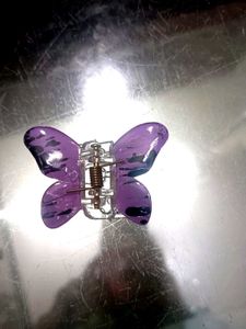 Butterfly Hair Clips