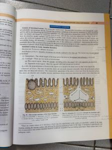 Parasitology Textbook - KD Chatterjee