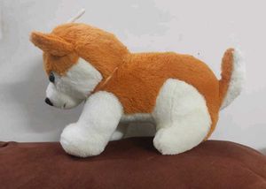 Cute Plush Dog Toy