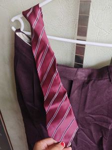 Mauve Blazer Suit With Tie