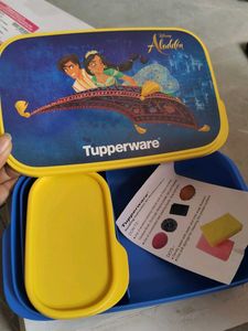 Tupperware Lunch Box