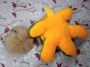 Two items:Cute Plush Turtle Toy and fur fluffy key