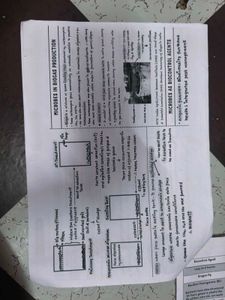 Microbes in Human Welfare Study Sheet