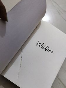 Wildfire By Hannah Grace