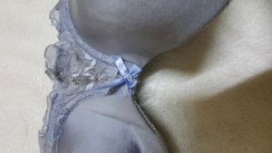 Sexy Padded Bra