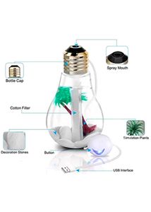 Automatic Light Bulb Humidifier