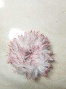 Cute Bows For Girls.... Set Of 2