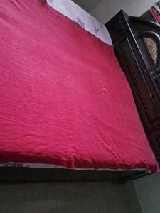 Pink Throw Blanket