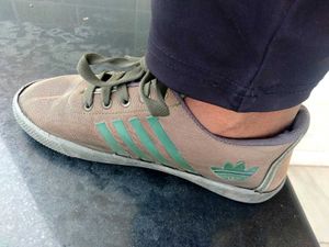 Adidas  Sneakers