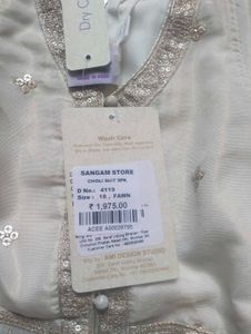 Elegant Choli Suit