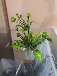Set Of 10 Mini Artificial Plants.