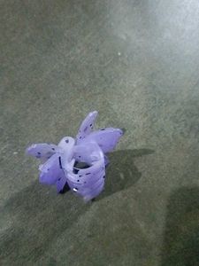 Hair Clip Bundle