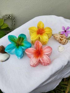 Colourful Flower Hair Clips