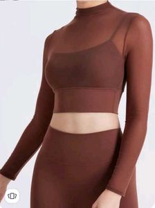 Brown Mesh Top