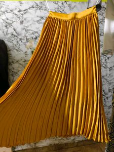 Brand New Sasafras Golden Skirt