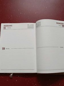 LIC 2019 Diary