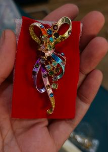Saree Pin