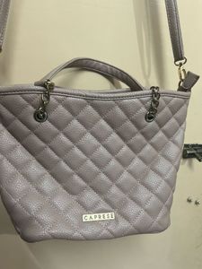 Caprese Sling Bad And Hand Bag