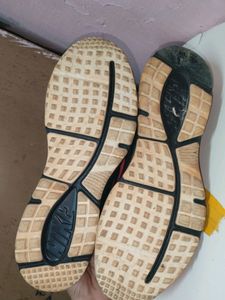 Nike Shoe
