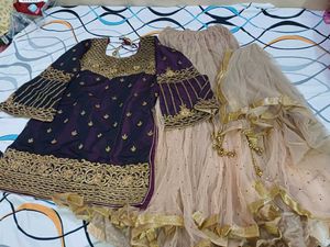 Elegant Embroidered Indian Outfit