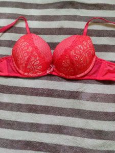 Pink Net Embroidery bra