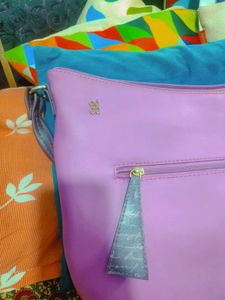 Baggit Tote Bag...