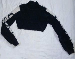 Crop Turtleneck Sweater