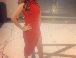 Sexy Bodycon Party Wear Dress
