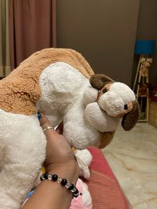 Dog Plush Toy