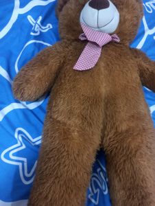 Big Size Teddy Bear