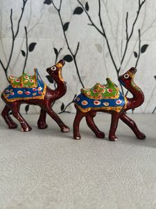 Camel Set
